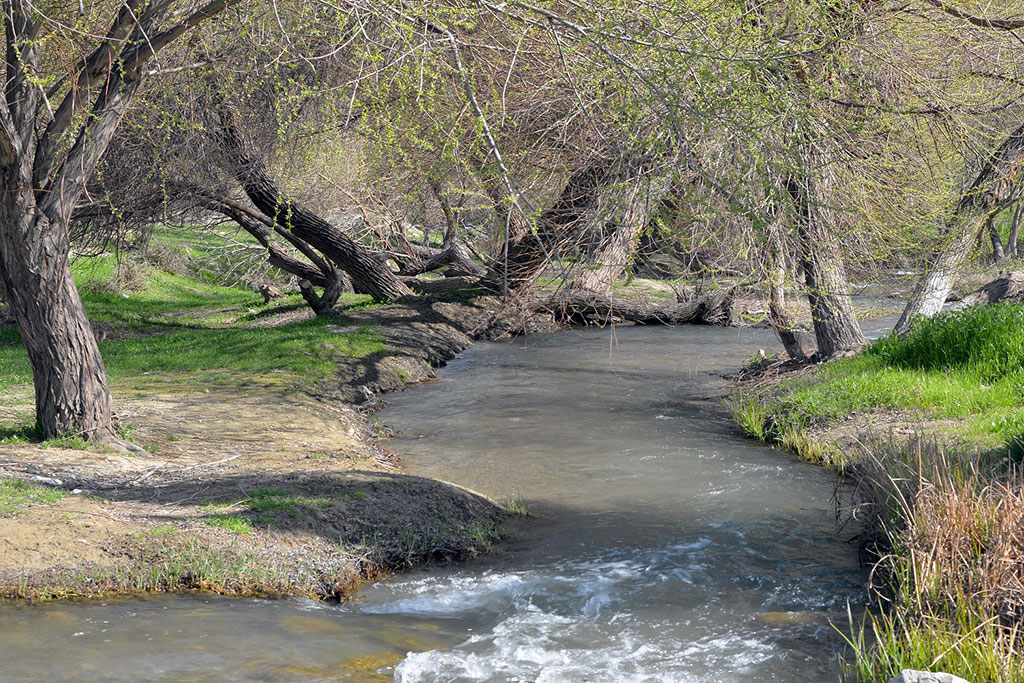 Turkmen nature conquers by its beauty
