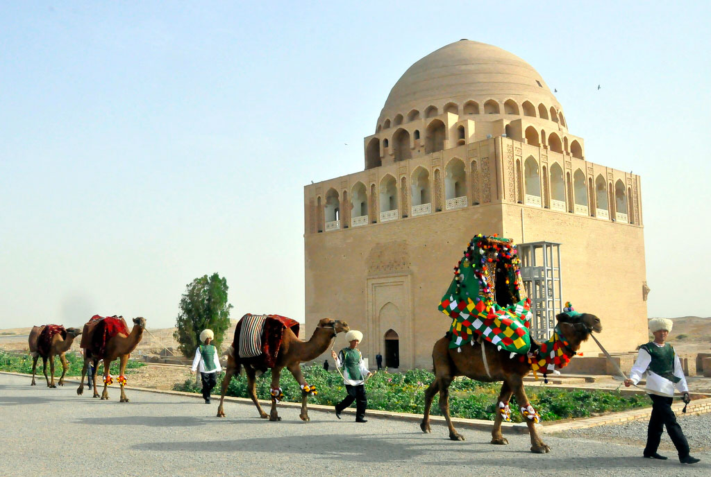 В Сакарчагинском этрапе Марыйского велаята развито верблюдоводство
