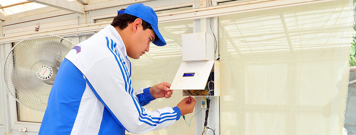 Ýaş alymlar ýyladyşhanalarda ýetişdirilýän ekinlere ideg etmegiň awtomatik usulyny işläp taýýarladylar