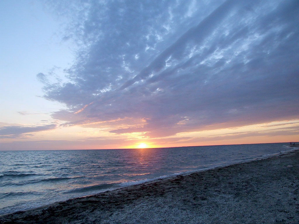 На сохранение биоразнообразия Каспия нацелена деятельность КЭП 