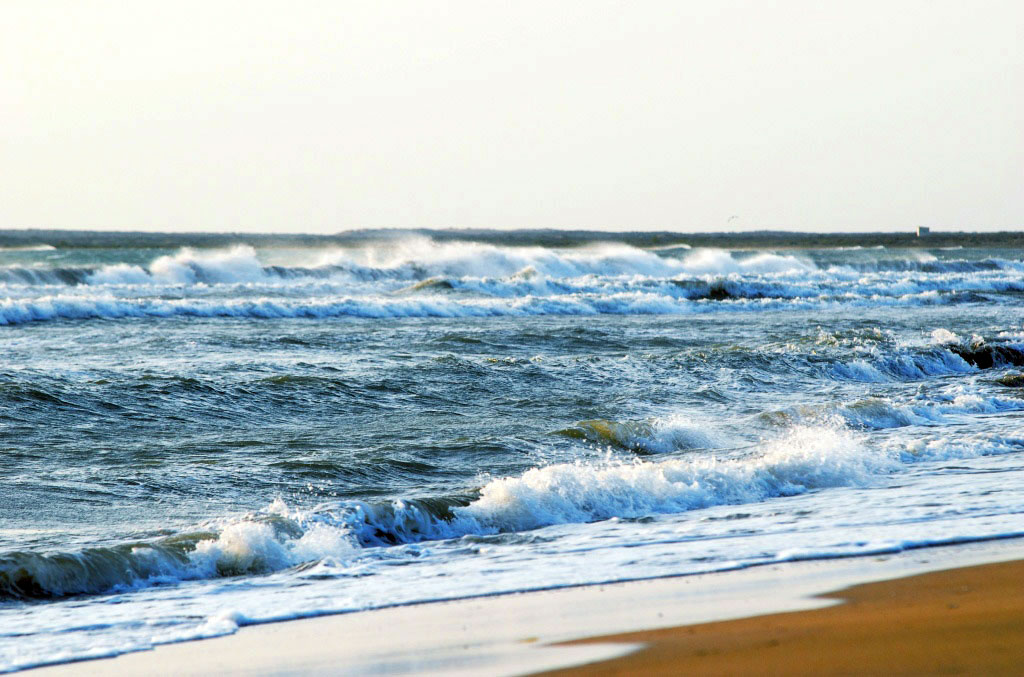 На сохранение биоразнообразия Каспия нацелена деятельность КЭП 