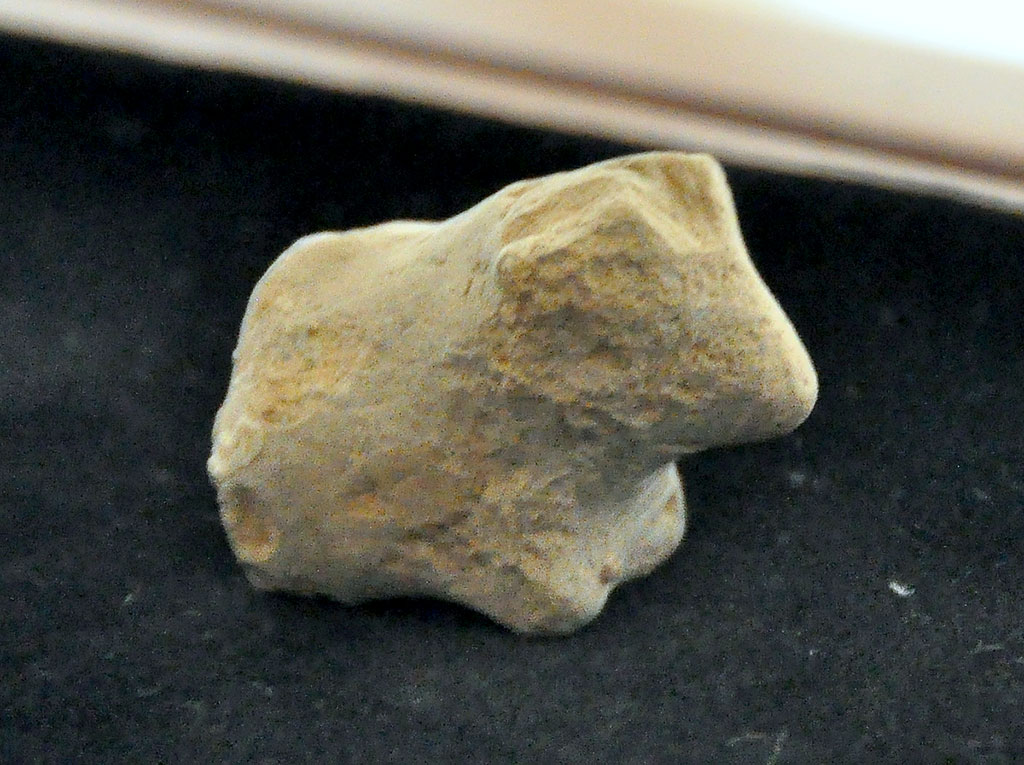 Археологические находки свидетельствуют о важной роли собак в быту и верованиях