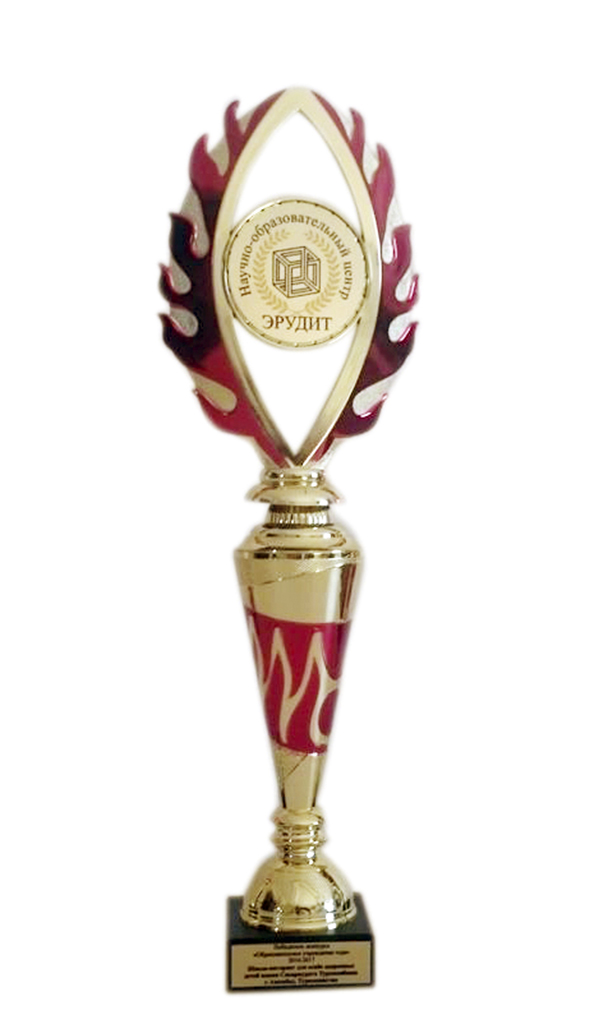 Schoolchildren from Kaahka rank among the top ones of 765 contenders for the victory at the international Olympiad 