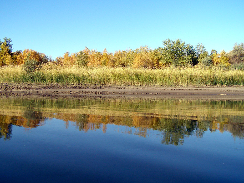 Amudarya State Natural Reserves celebrates its 15th anniversary
