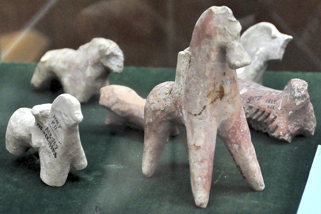 Döwlet muzeýindäki sergide türkmen sportunyň taryhyndan  şanly sahypalar görkezilýär