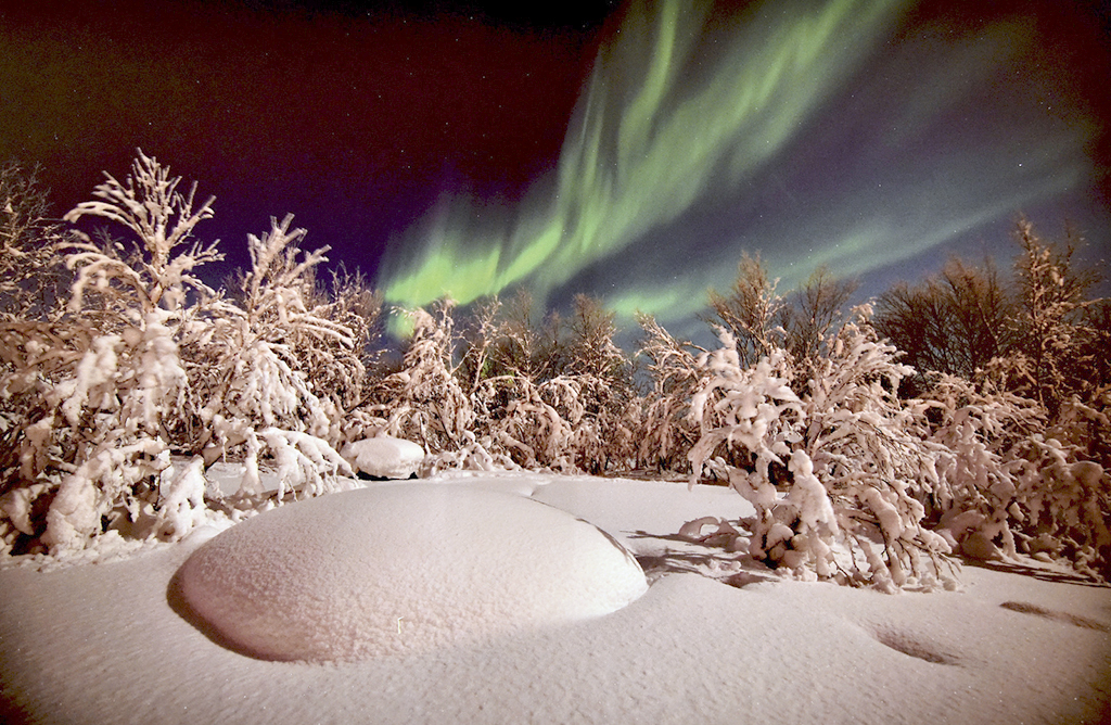 Igor Moiseyev Ensemble’s adds a Turkmen dance to its repertoire