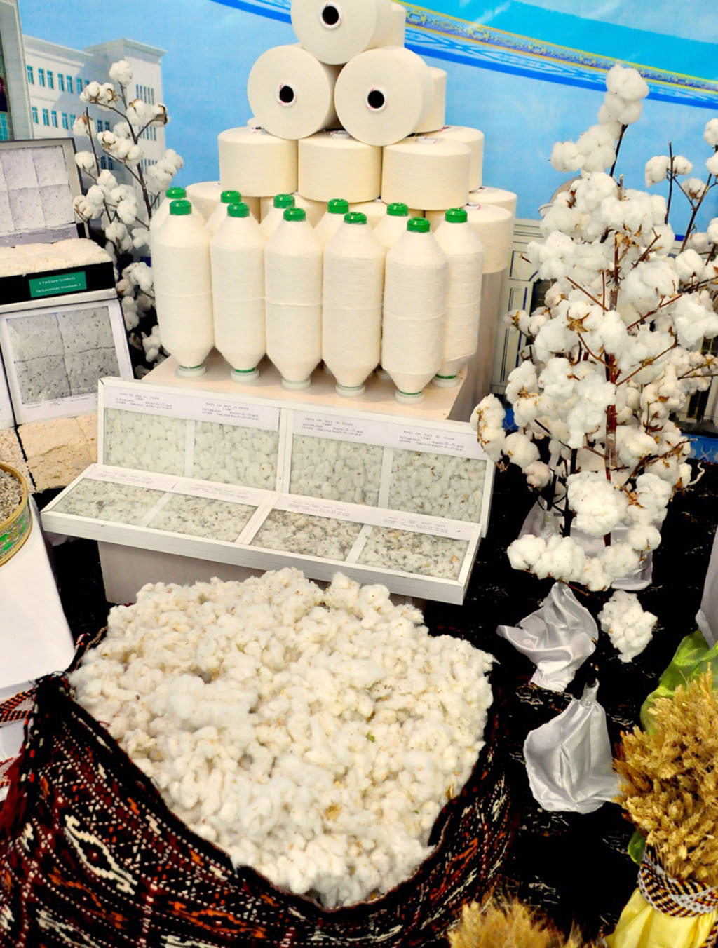 Modernization of agrarian industry – important aspect of the thoughtfulness for rural people 