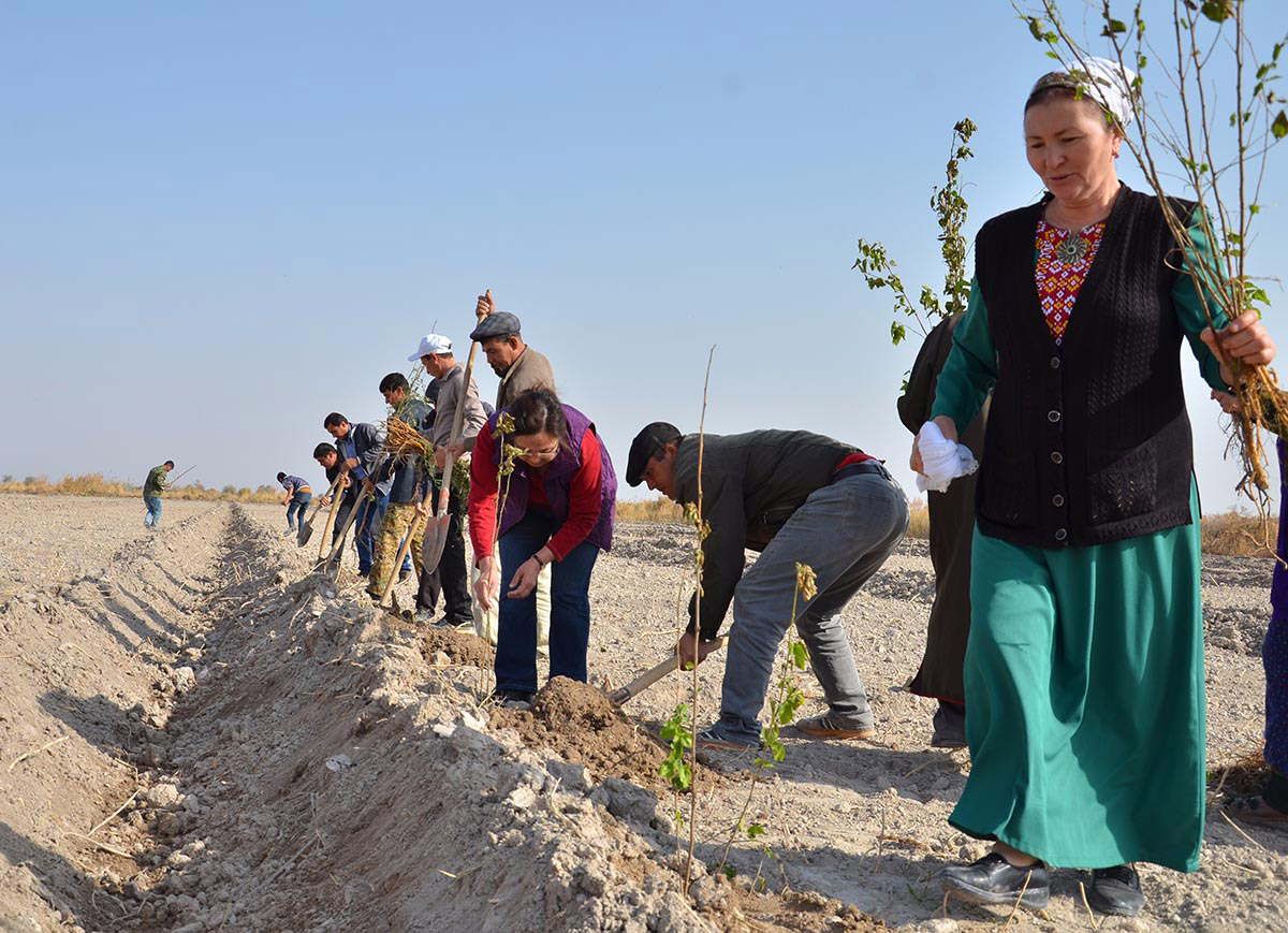Turkmen – German project for management of land and woodland resources in Amudarya zone is coming to the end