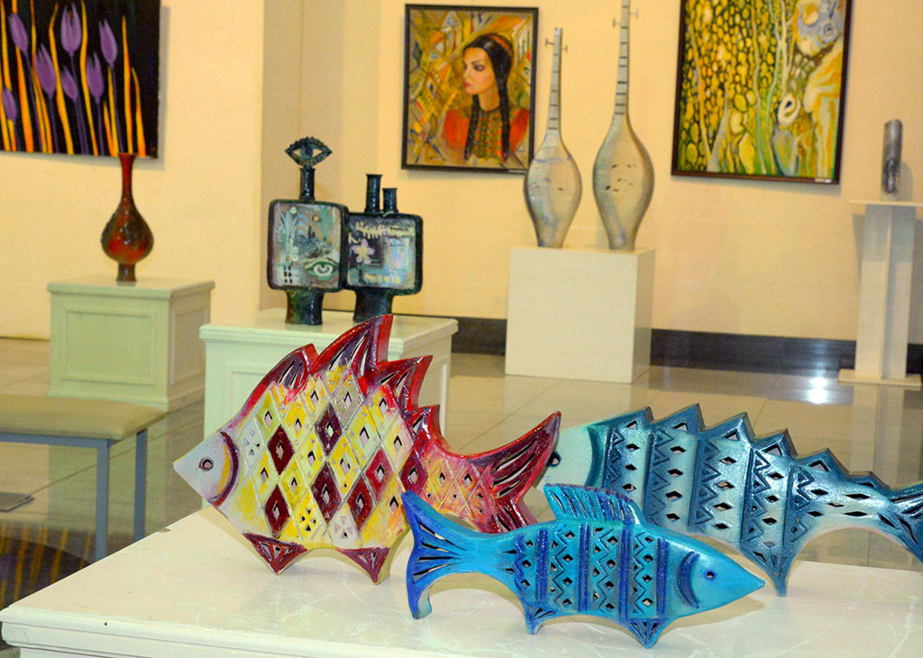 Солмаз Мухаммедова: через тернии к мечте