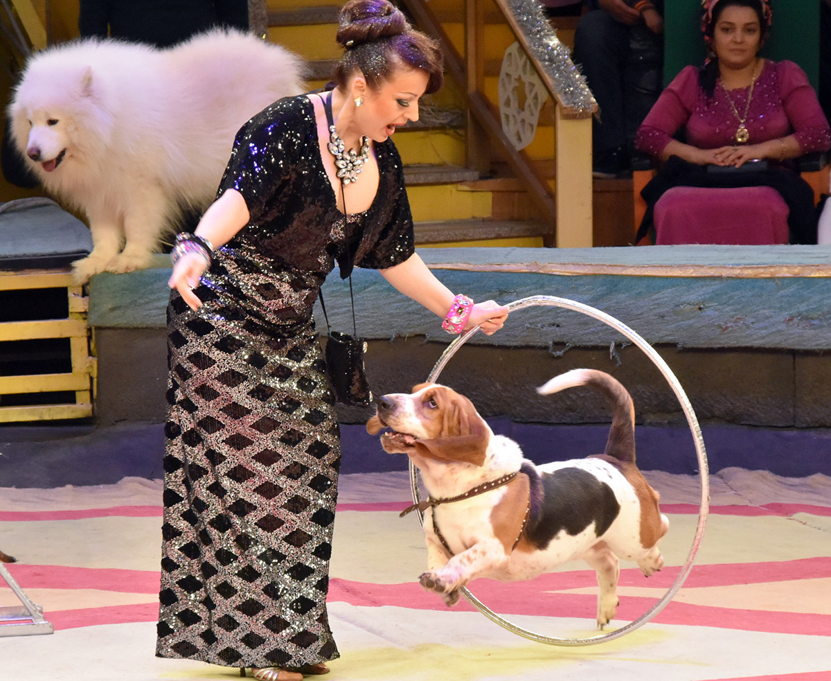 Премьера российской цирковой программы «Салют, лауреаты!» была восторженно встречена ашхабадской публикой