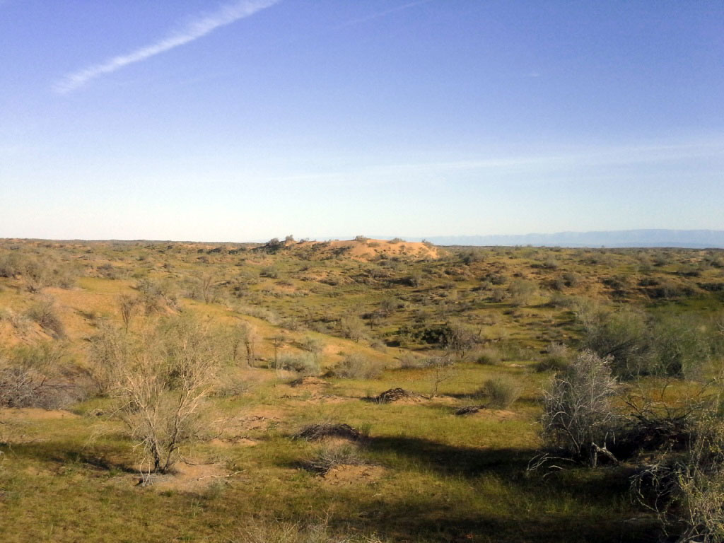 Эколого-экономическому эффекту от образования пастбищ вокруг коллекторов озера «Алтын Асыр» посвящена готовящаяся к изданию брошюра