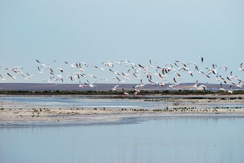 В зимний период сотрудники заповедников обеспечивают обитателей природоохранных территорий кормами