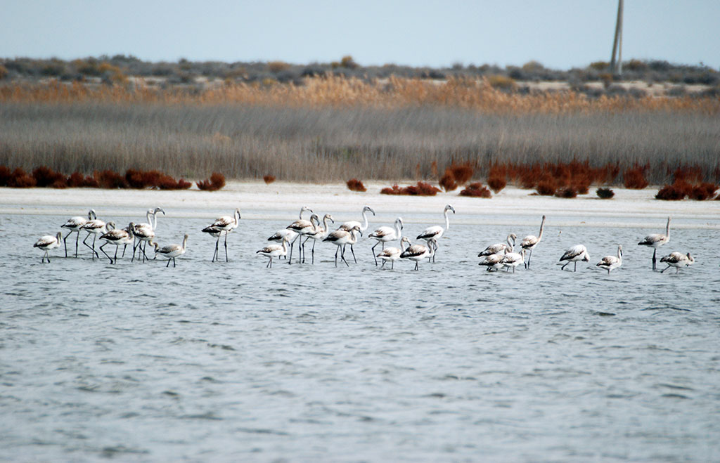 Turkmenistan ratified the Ramsar Convention 10 years ago