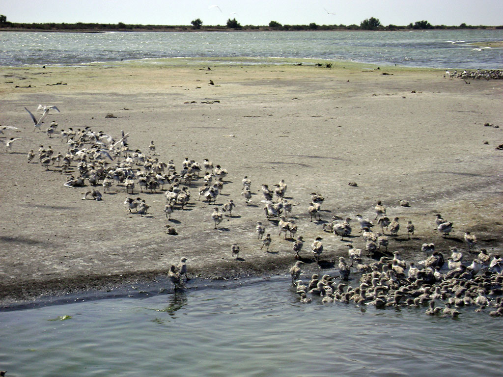 Turkmenistan ratified the Ramsar Convention 10 years ago