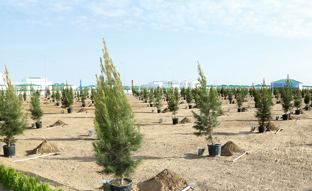 При участии главы государства открыта новая очередь жилого массива Тязе заман 