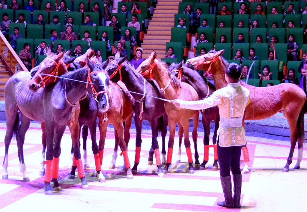 Коллектив Ашхабадского цирка представил новые номера