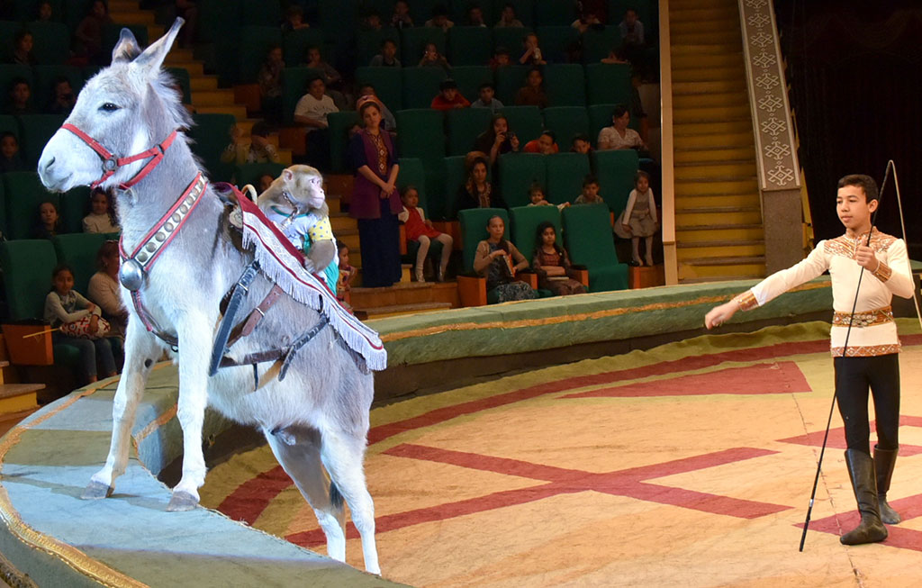 Коллектив Ашхабадского цирка представил новые номера