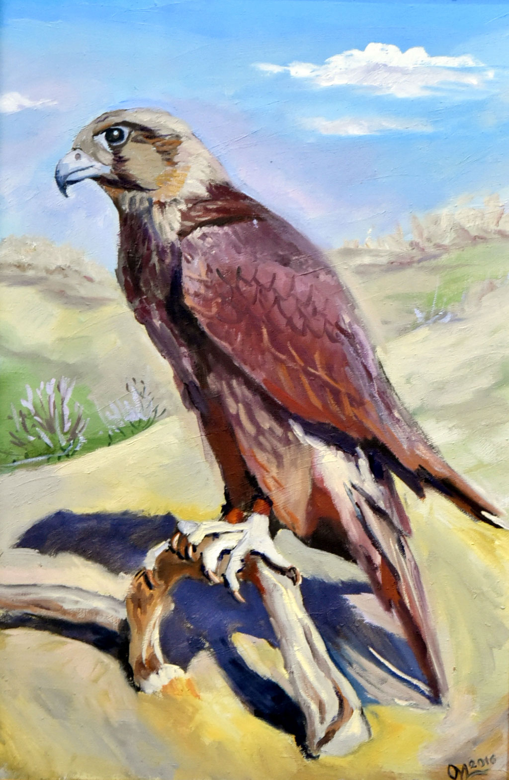 Многообразие птиц Туркменистана представлено в тематической экспозиции Государственного музея