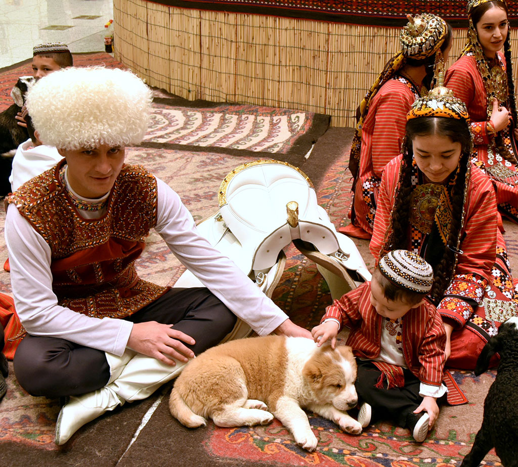 Международная выставка-ярмарка в честь туркменского скакуна отразила все направления конной индустрии