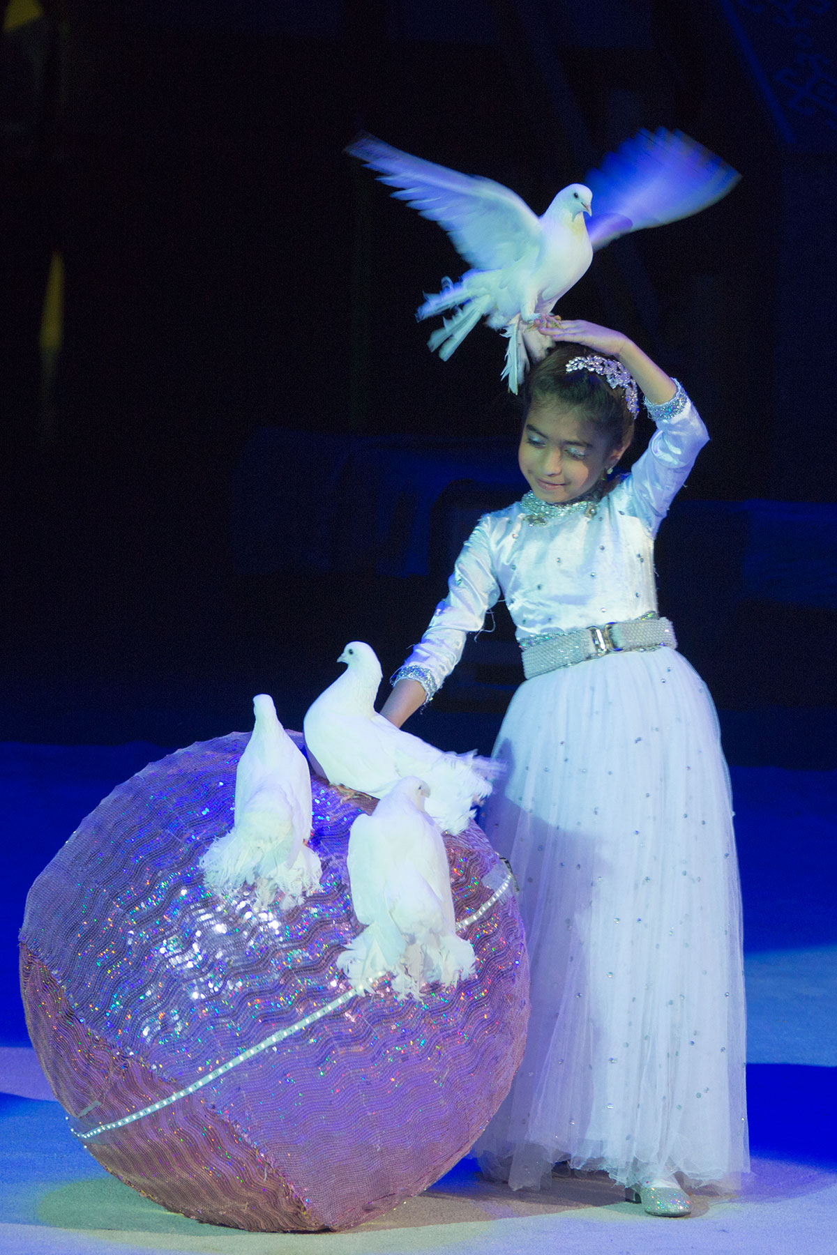 Türkmen bedewleriniň dünýädäki şöhraty belende göterilýär