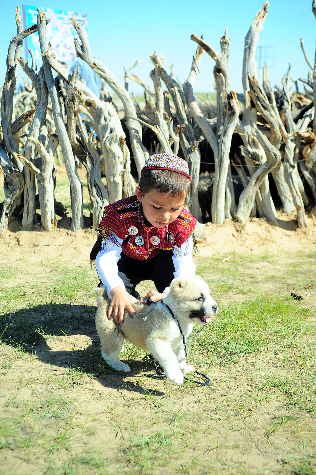 Одно из главных достоинств туркменских детей – искреннее, трепетное уважение к старшим