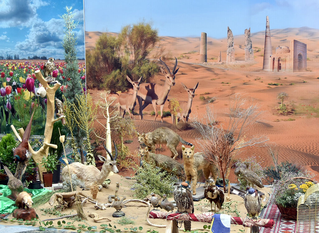 Участники международного форума отметили достижения Туркменистана в природоохранной сфере 