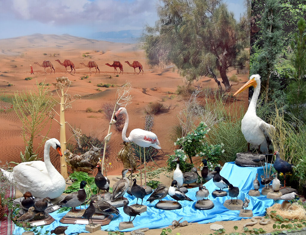 Daşky gurşawy goramagyň bütindünýä güni mynasybetli halkara ylmy-amaly maslahat