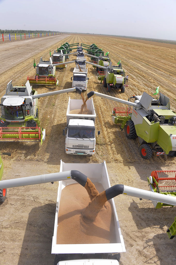 К косовице приступили хлеборобы Ахалского, Лебапского и Марыйского велаятов 