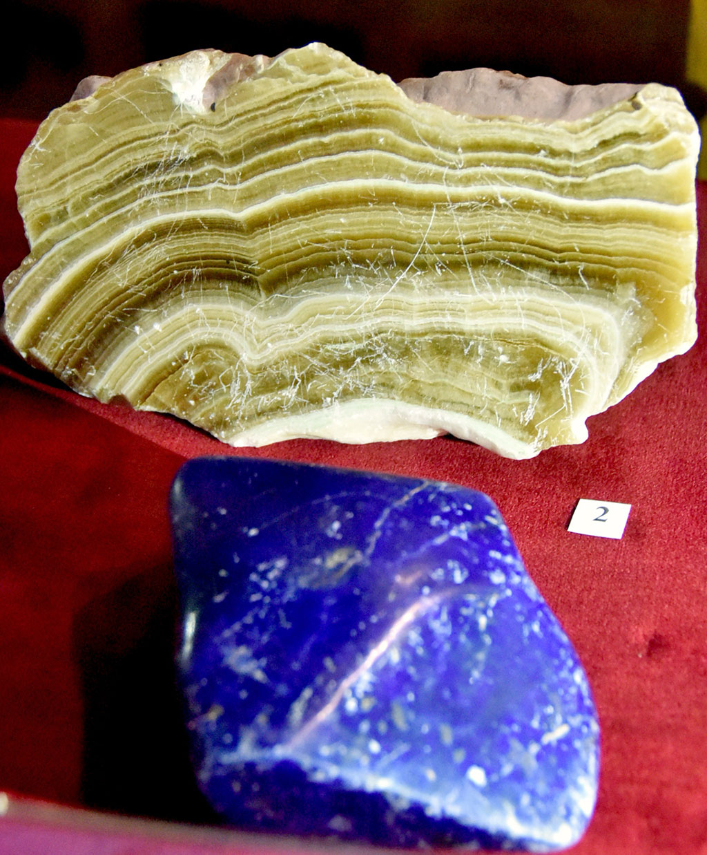 К Дню науки Государственный музей Туркменистана приурочил тематическую экспозицию