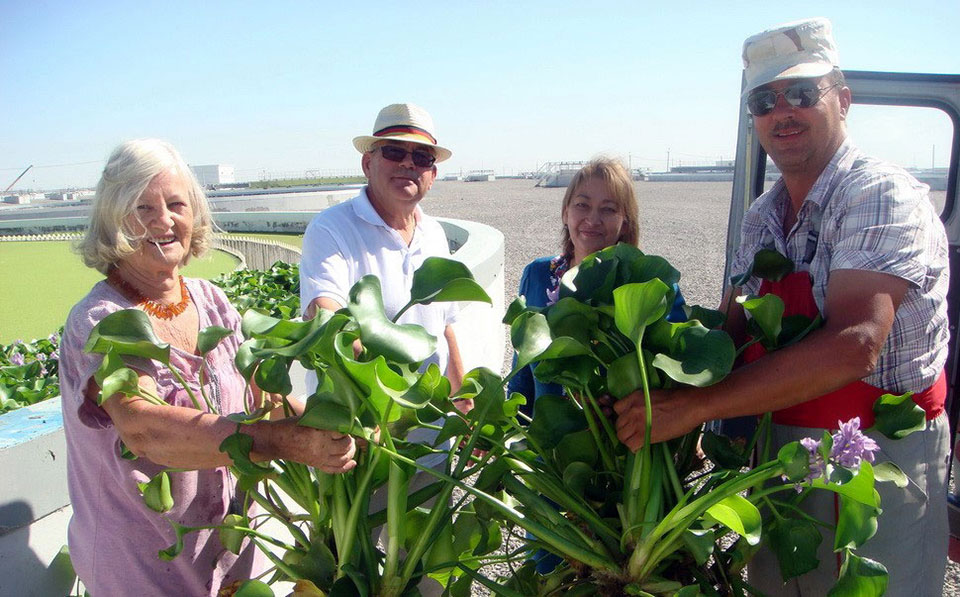 Туркменский учёный предлагает эффективные биотехнологии для агропроизводства