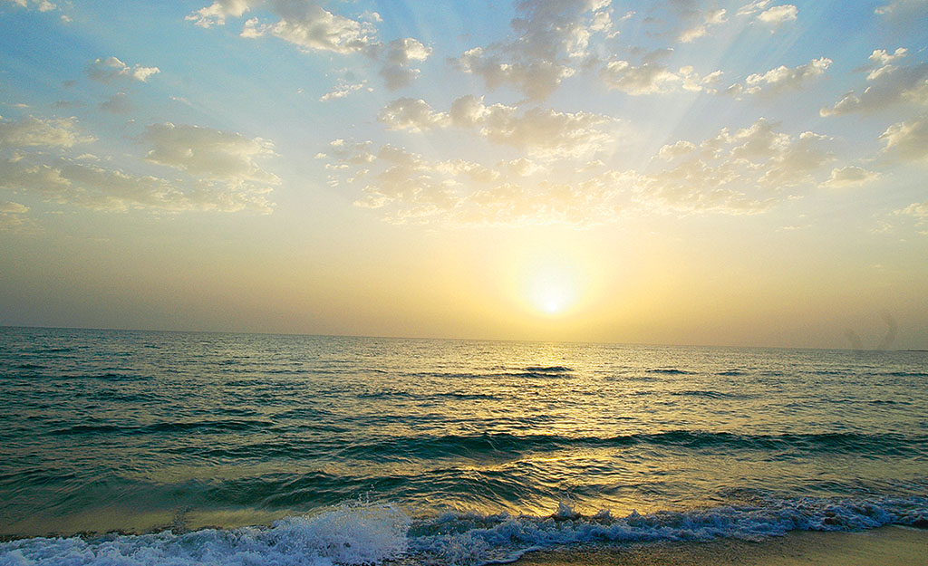 Природоохранной деятельности на Каспии - 105 лет 