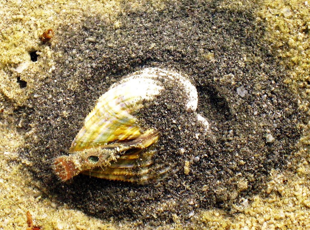 Каспийское море – уникальный бессточный водоём с древней историей