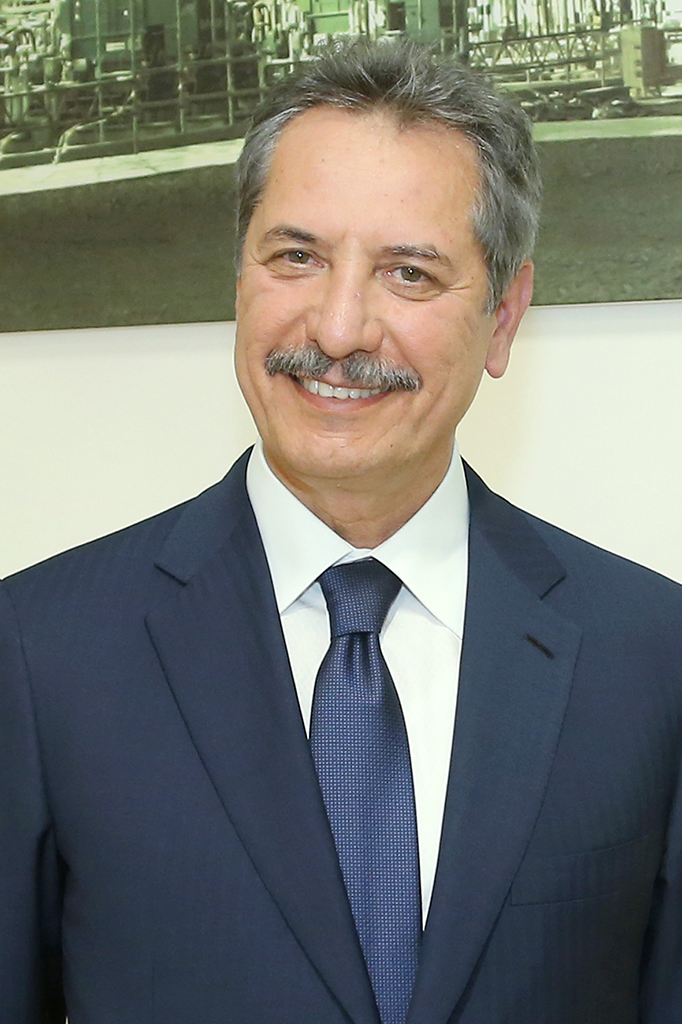 Руководители Mitsubishi Corporation и Çalik Holding представили главе государства ряд предложений 