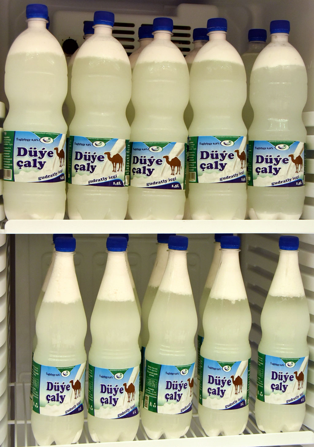 Верблюдоводство: экономические перспективы и научный подход