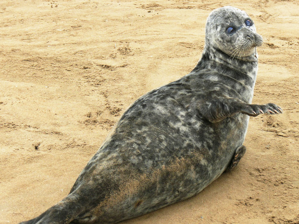 К 50-летию национального Общества охраны природы приурочен международный форум 