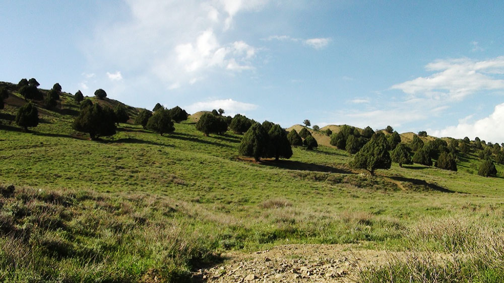 К 50-летию национального Общества охраны природы приурочен международный форум 