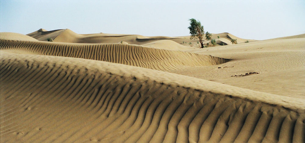 К 50-летию национального Общества охраны природы приурочен международный форум 