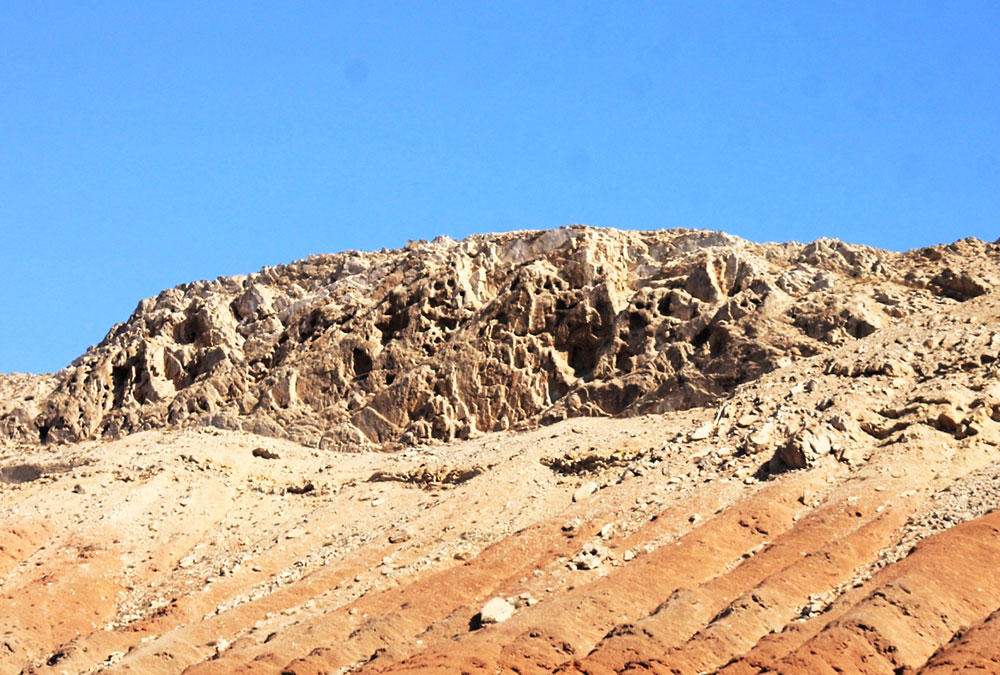 Краснокнижные представители туркменской авифауны: беркут