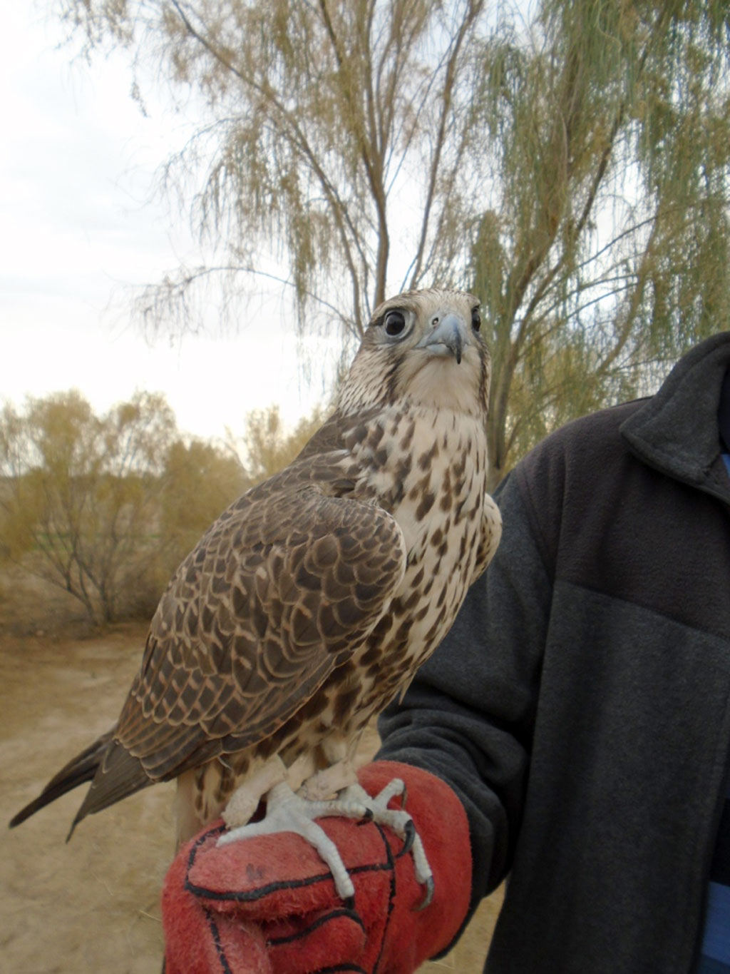 Участники международного экологического форума обменялись мнениями и опытом  