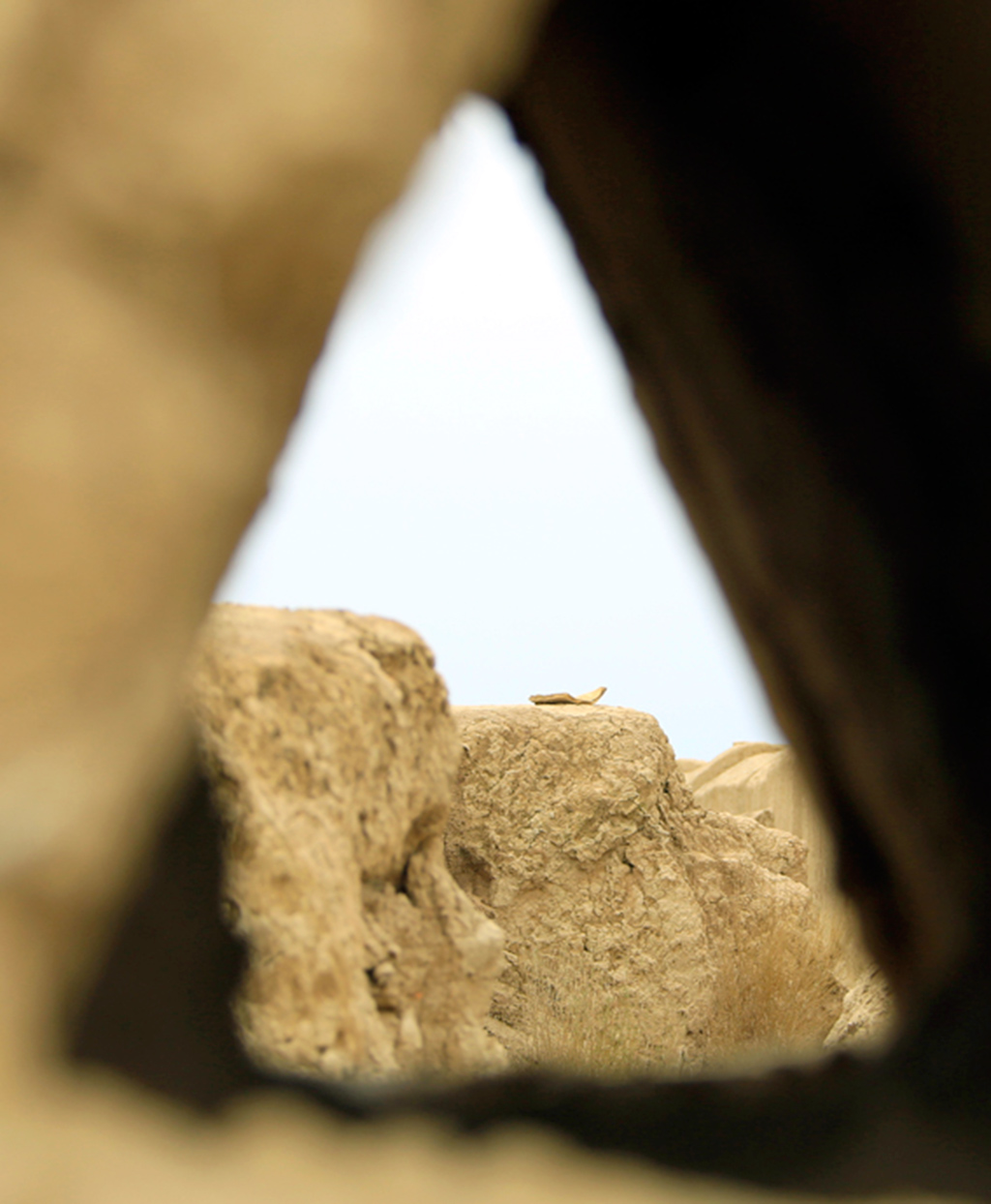 Turkmenistan activates international cooperation in tourism sphere 