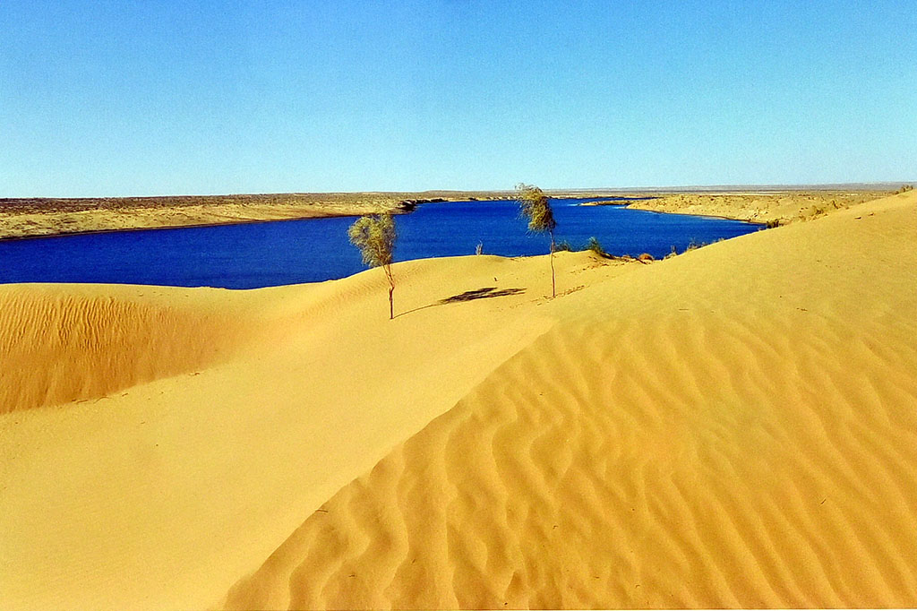 Подведены итоги конкурса среди представителей различных жанров художественного творчества