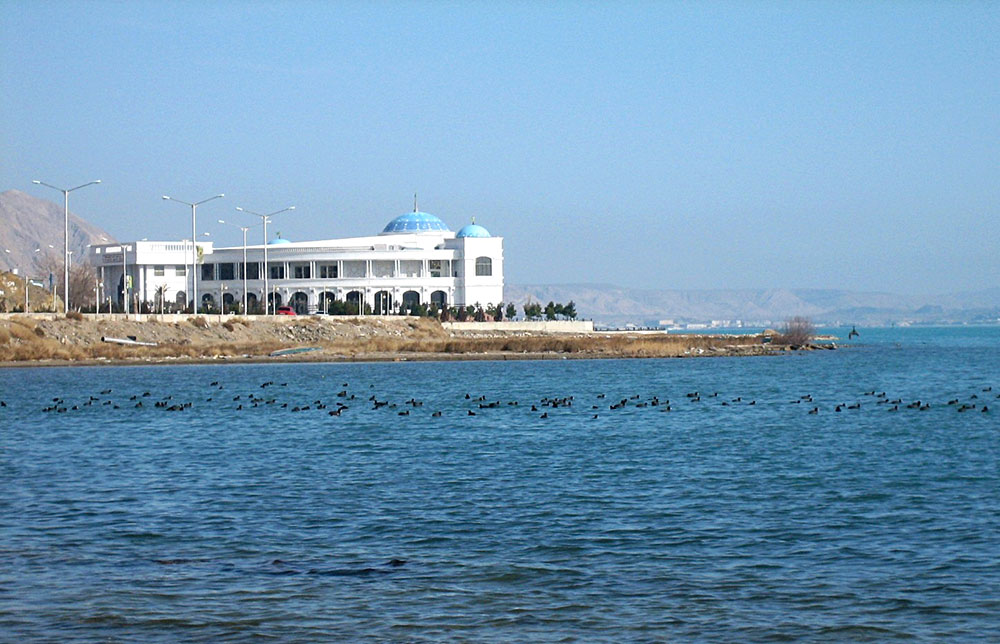 В Прикаспии зимует около полумиллиона птиц 
