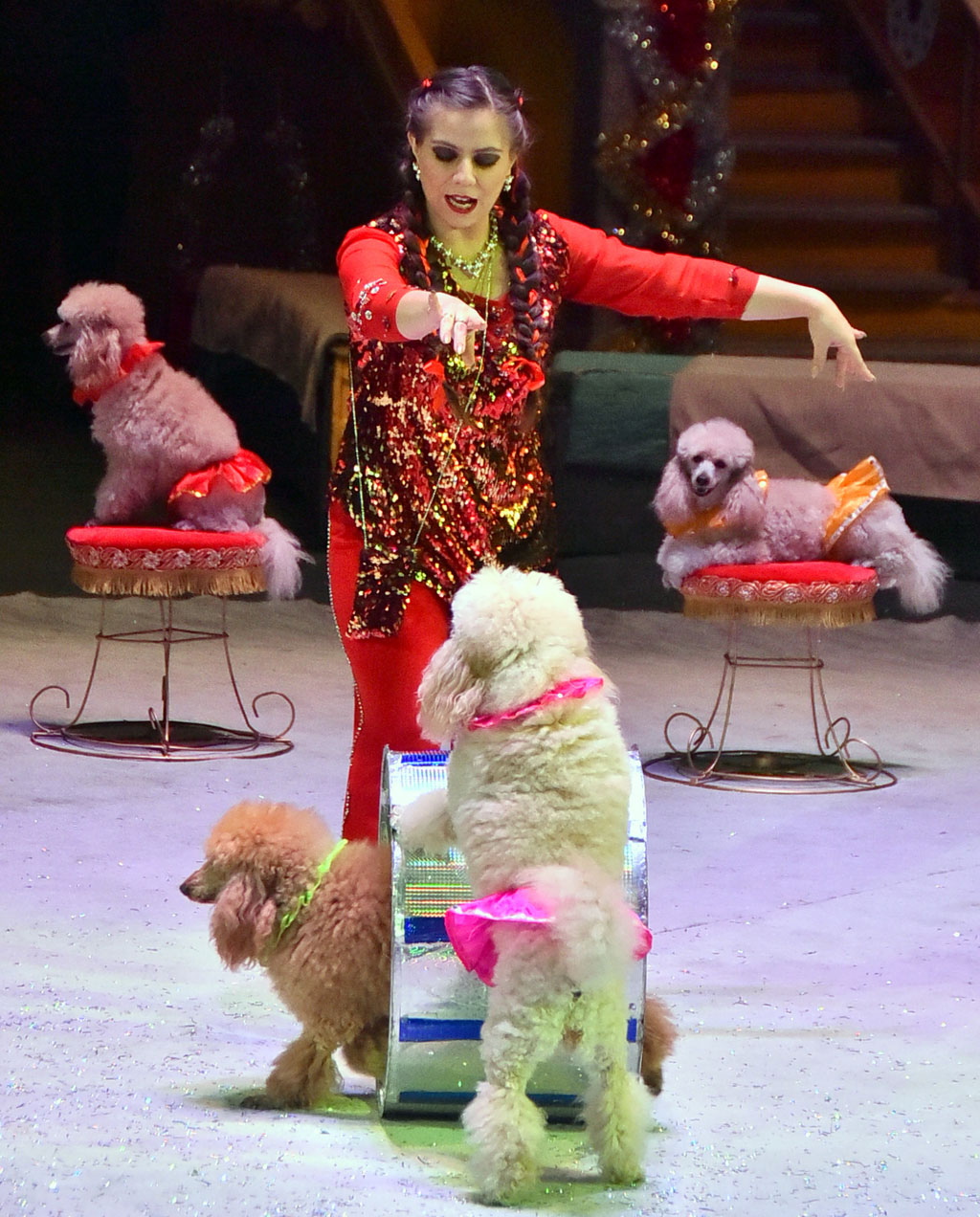 Gyzykly  Täze ýyl şirk çykyşlary tomaşaçylary özüne çekdi