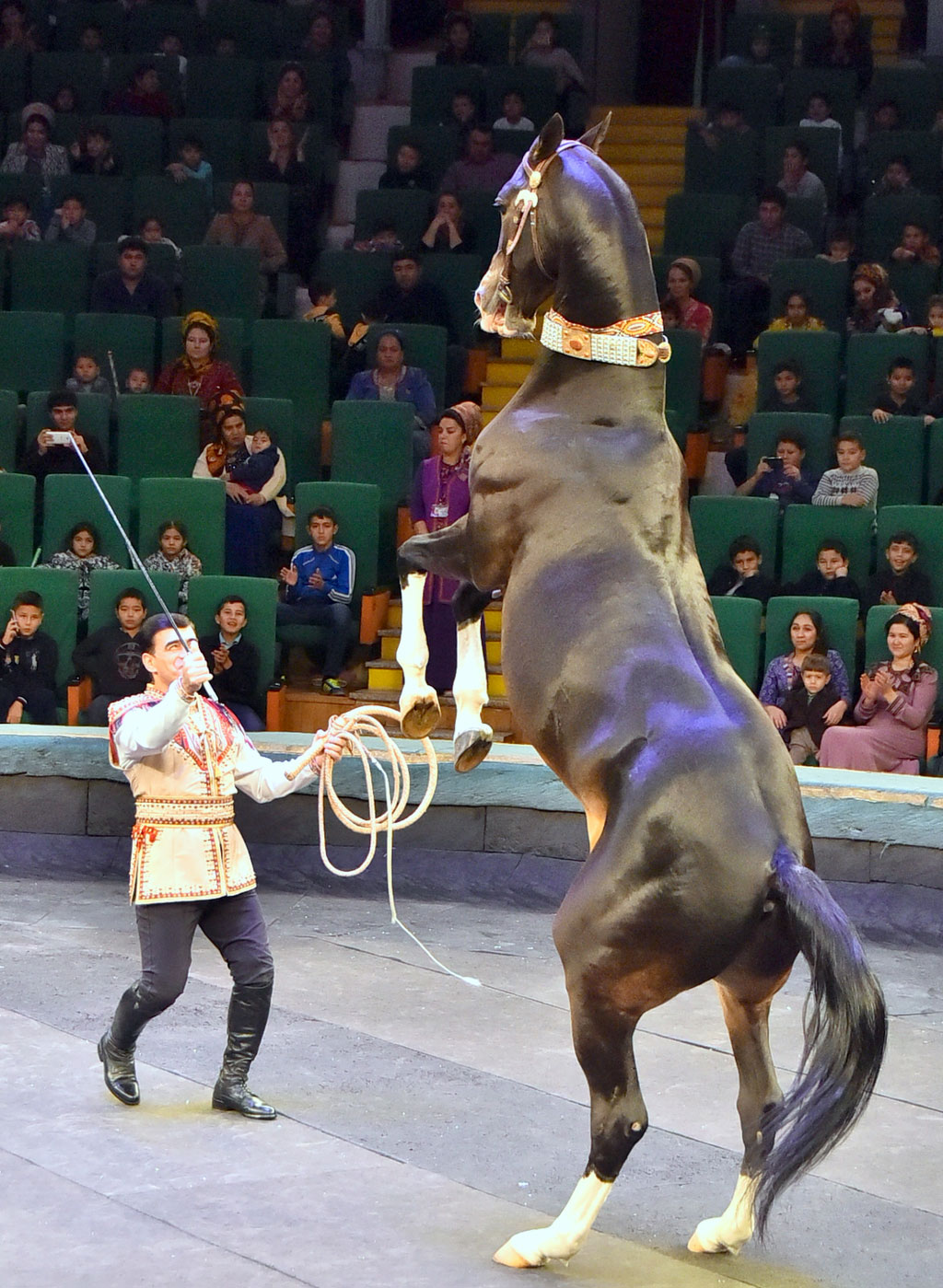 Gyzykly  Täze ýyl şirk çykyşlary tomaşaçylary özüne çekdi