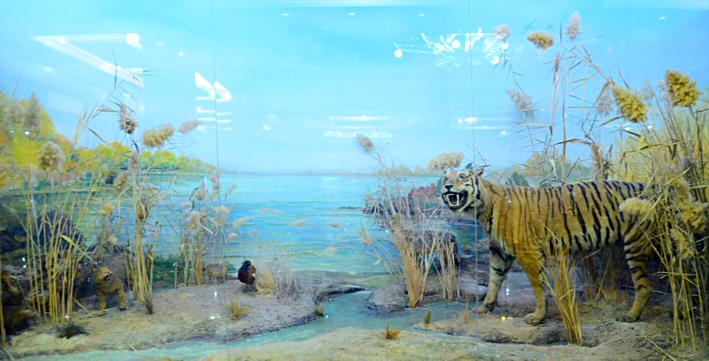 Музей этнографии и краеведения отмечает в этом году 10-летие 