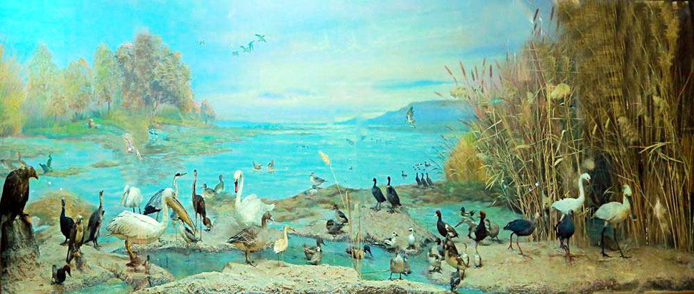 Музей этнографии и краеведения отмечает в этом году 10-летие 