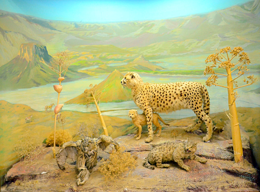 Музей этнографии и краеведения отмечает в этом году 10-летие 