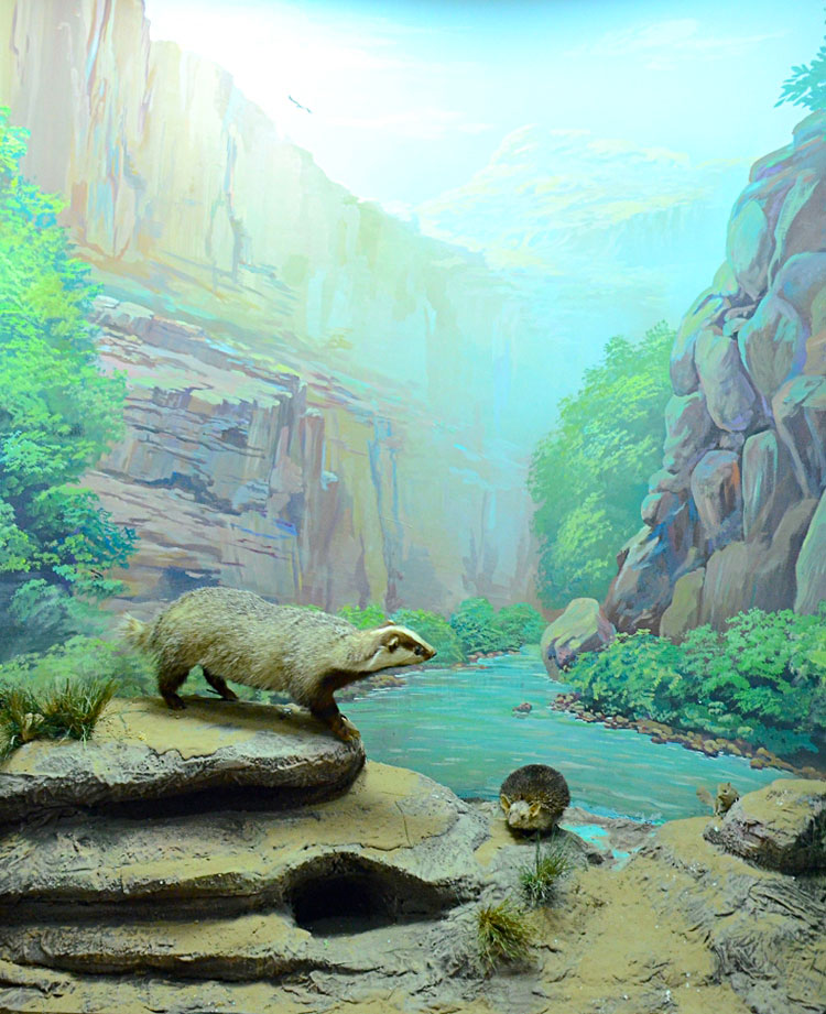 Музей этнографии и краеведения отмечает в этом году 10-летие 