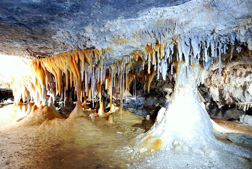 Загадки подземного мира Койтендага: уникальная фауна Карлюкских пещер