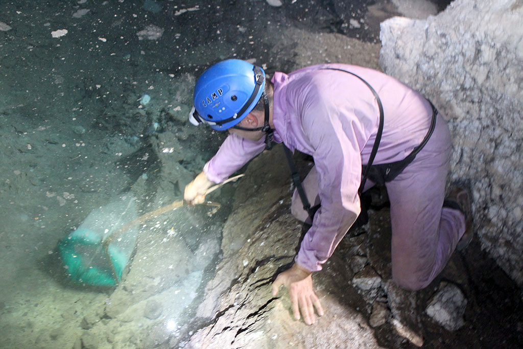 Загадки подземного мира Койтендага: уникальная фауна Карлюкских пещер